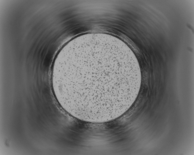 X0000091220856200708301450