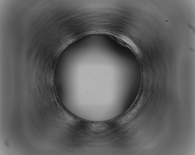 X0000091220857200708301450