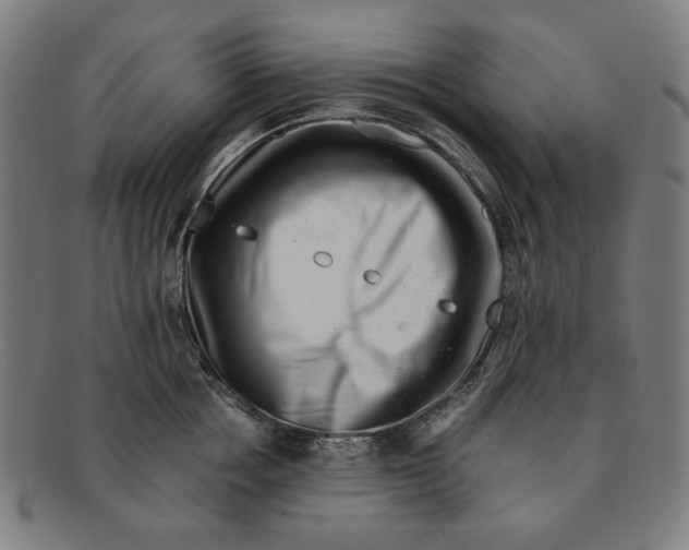 X0000091220858200708301450