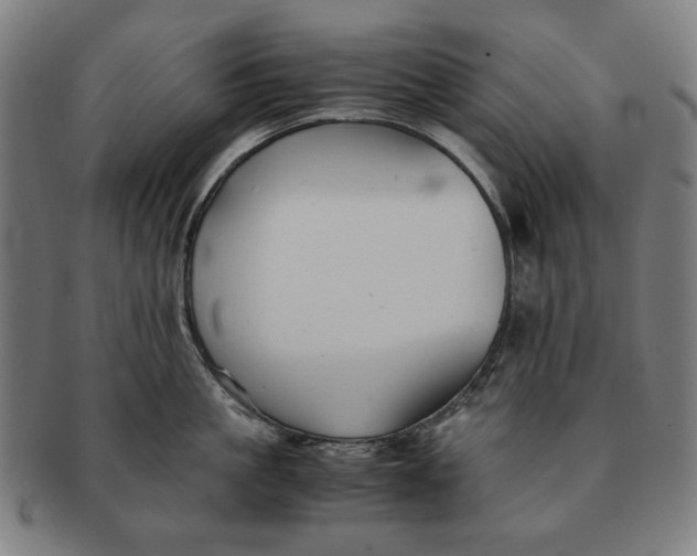 X0000091220861200708301450