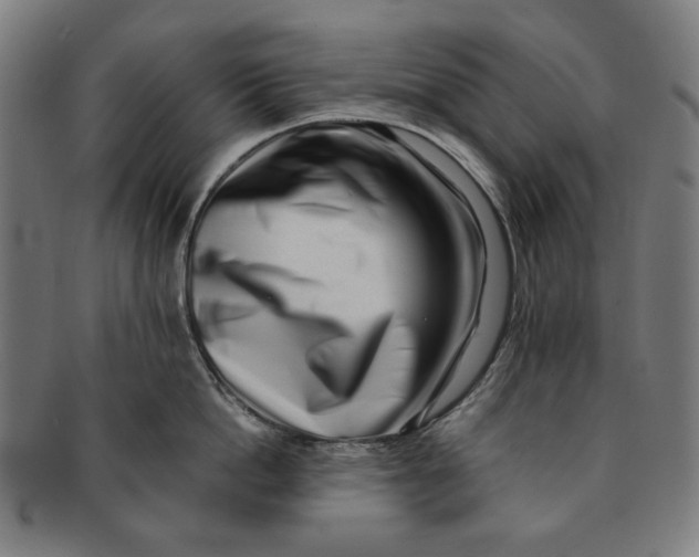 X0000091220862200708301450