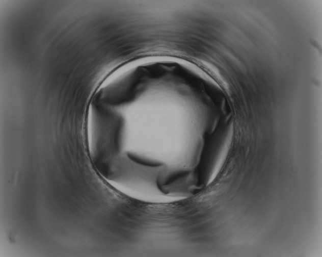 X0000091220863200708301450