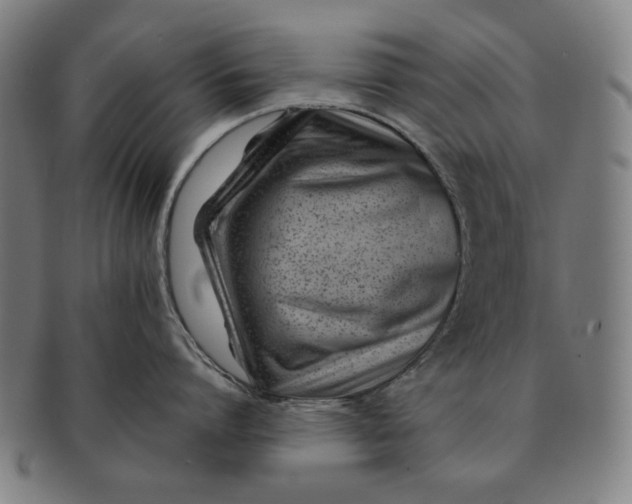 X0000091220864200708301450