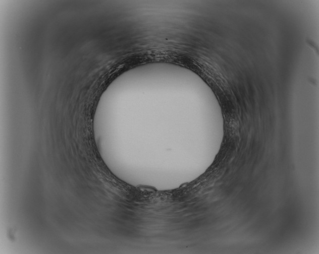 X0000091220865200708301449