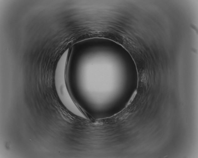 X0000091220868200708301449