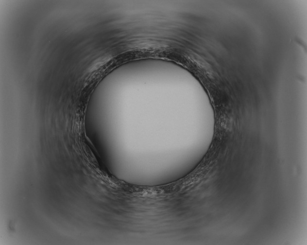 X0000091220869200708301449