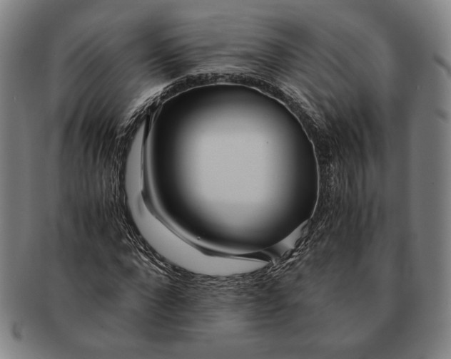 X0000091220872200708301449