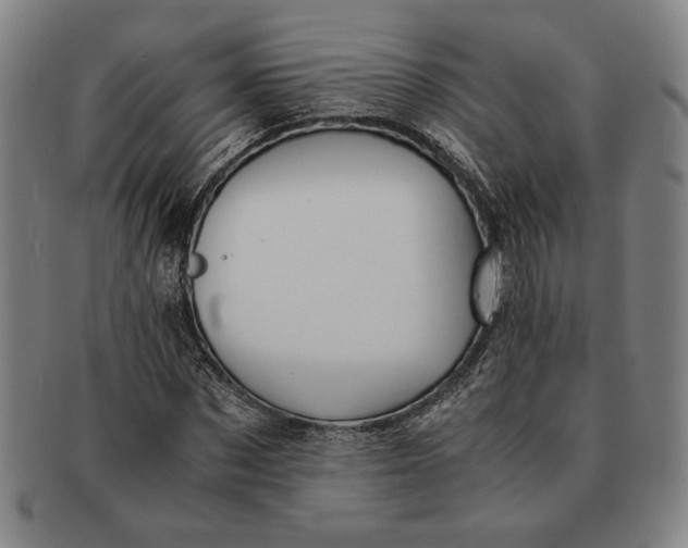 X0000091220873200708301449