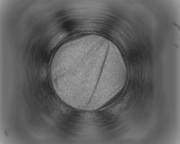 X0000091220874200708301449