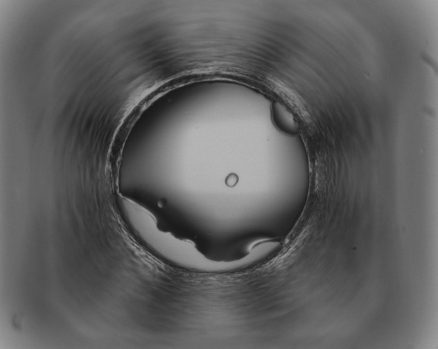 X0000091220876200708301449