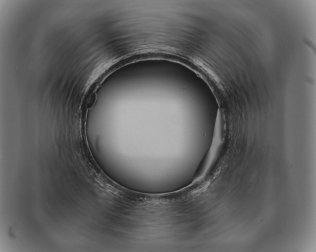 X0000091220877200708301449