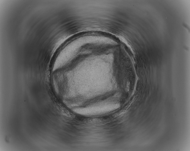 X0000091220879200708301449