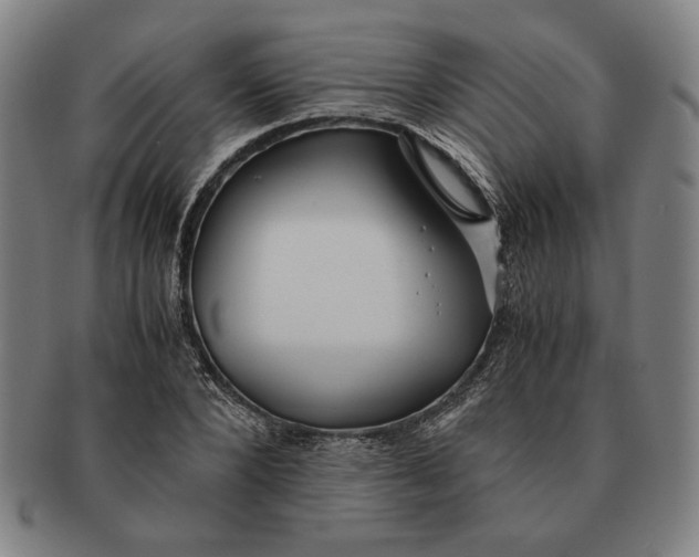 X0000091220880200708301449