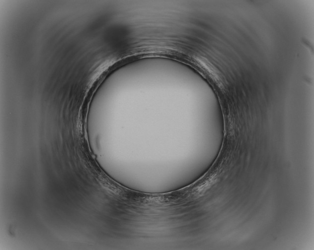 X0000091220883200708301449