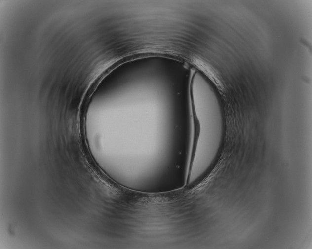 X0000091220884200708301449