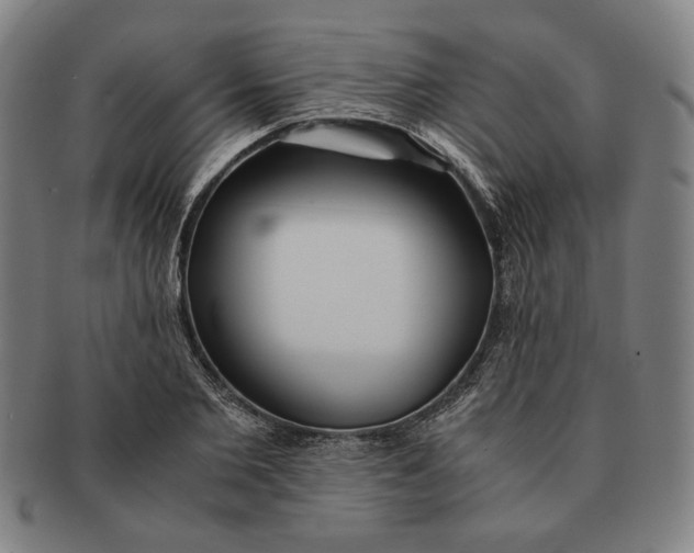 X0000091220885200708301449