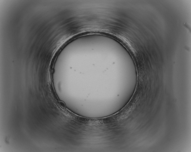 X0000091220887200708301449