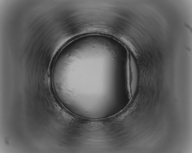 X0000091220888200708301449