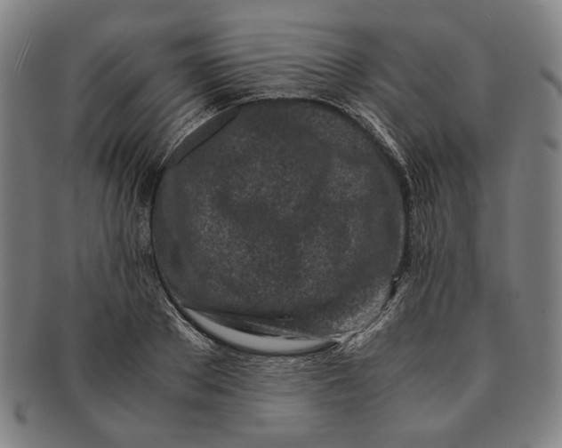 X0000091220889200708301449