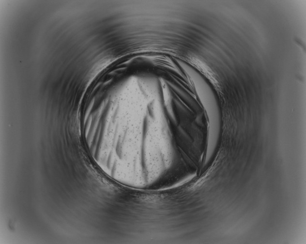 X0000091220892200708301449