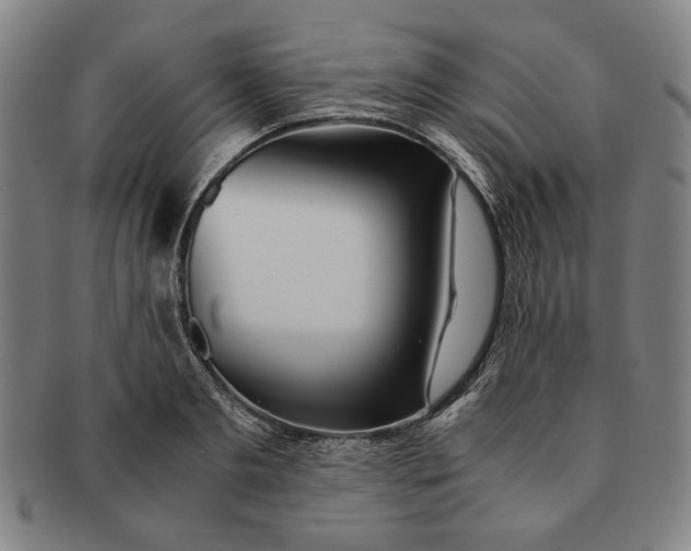 X0000091220893200708301449