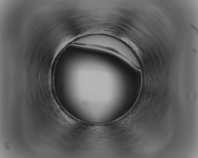 X0000091220894200708301449