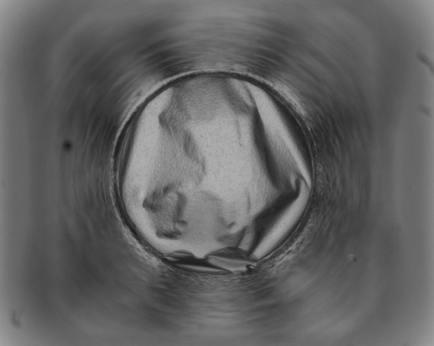 X0000091220895200708301449