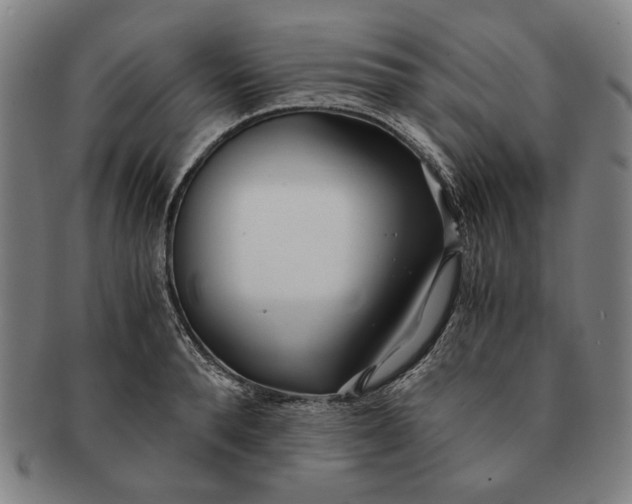 X0000091220896200708301449