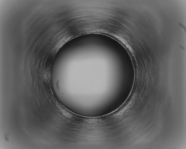 X0000091220897200708301449