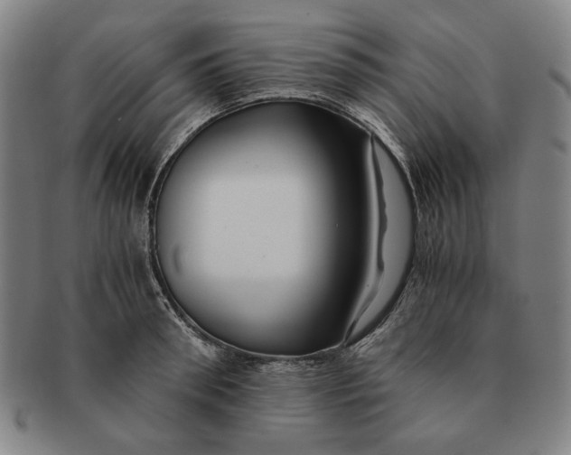 X0000091220898200708301449