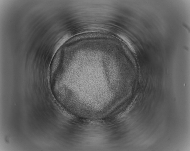 X0000091220899200708301449