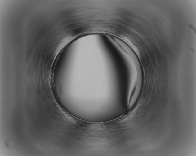 X0000091220901200708301449