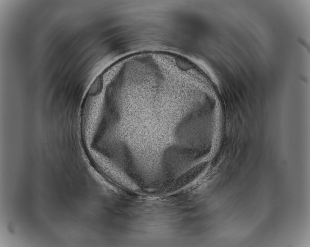 X0000091220903200708301449