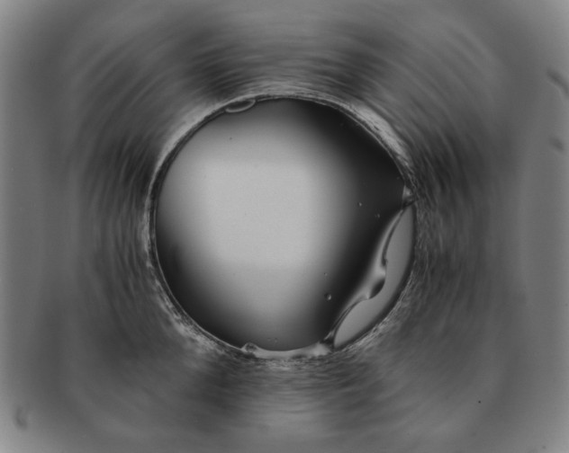 X0000091220904200708301449