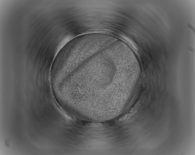 X0000091220907200708301449