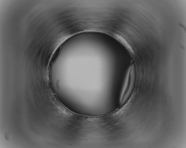 X0000091220908200708301449