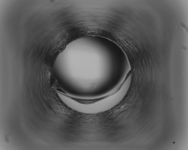 X0000091220916200708301448