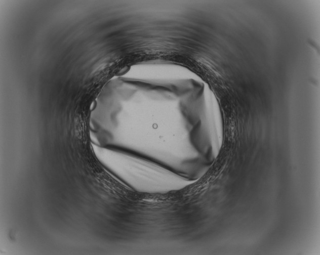 X0000091220917200708301448