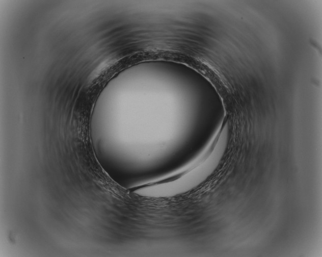 X0000091220919200708301448