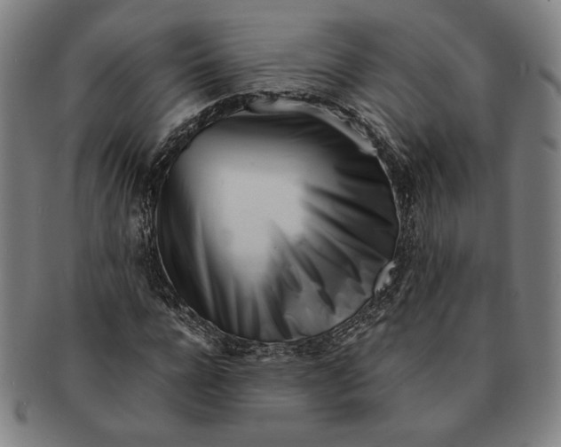 X0000091220920200708301448