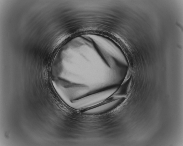 X0000091220921200708301448