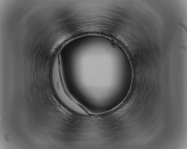 X0000091220922200708301448