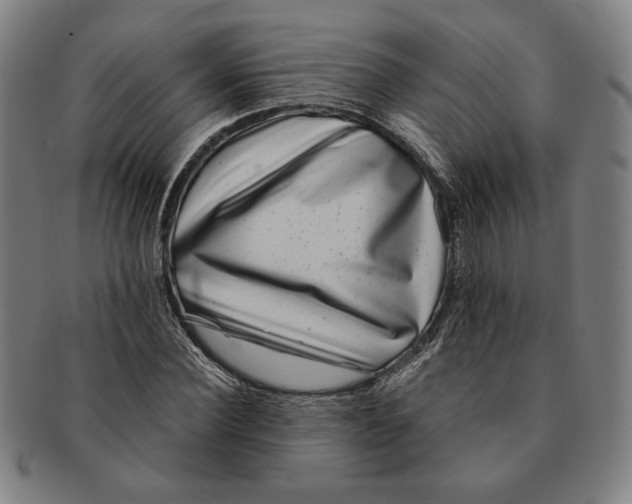 X0000091220924200708301448