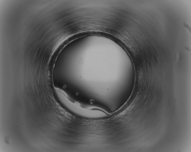 X0000091220926200708301448