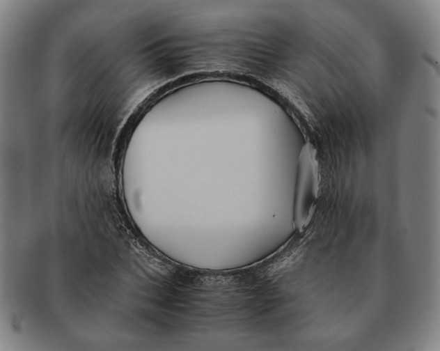 X0000091220927200708301448