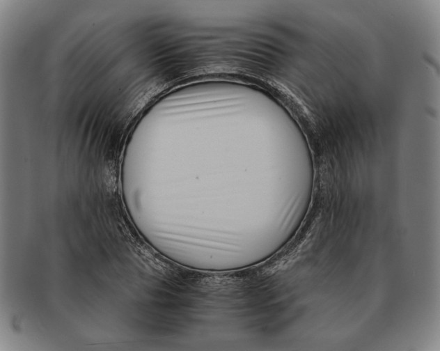 X0000091220929200708301448