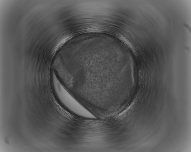 X0000091220930200708301448