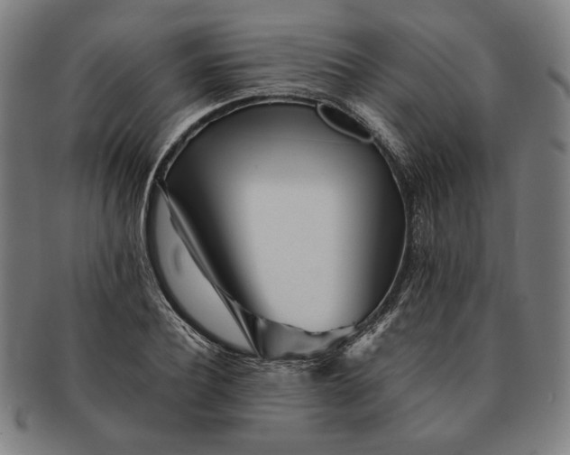 X0000091220932200708301448