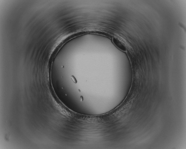 X0000091220934200708301448