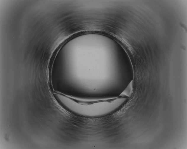 X0000091220935200708301448